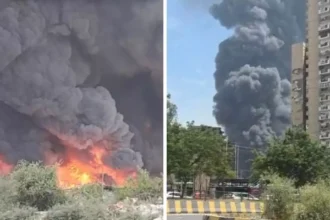 WhatsApp Image 2026 04 15 at 11.17.12 AM 7