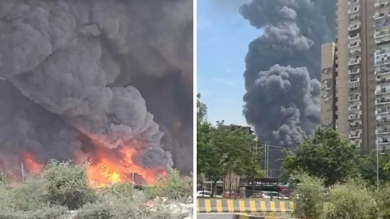 WhatsApp Image 2026 04 15 at 11.17.12 AM 7