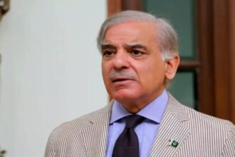 WhatsApp Image 2026 04 28 at 11.36.09 3