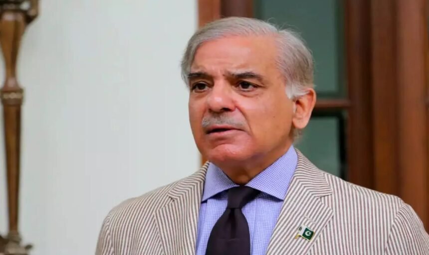 WhatsApp Image 2026 04 28 at 11.36.09 3