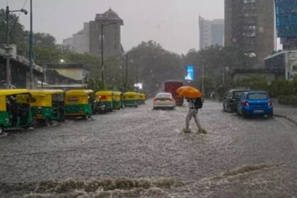 WhatsApp Image 2026 04 28 at 11.36.09 4