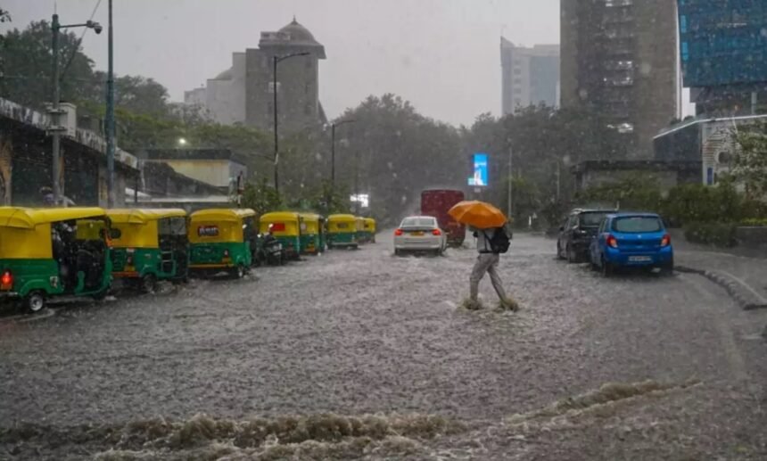 WhatsApp Image 2026 04 28 at 11.36.09 4